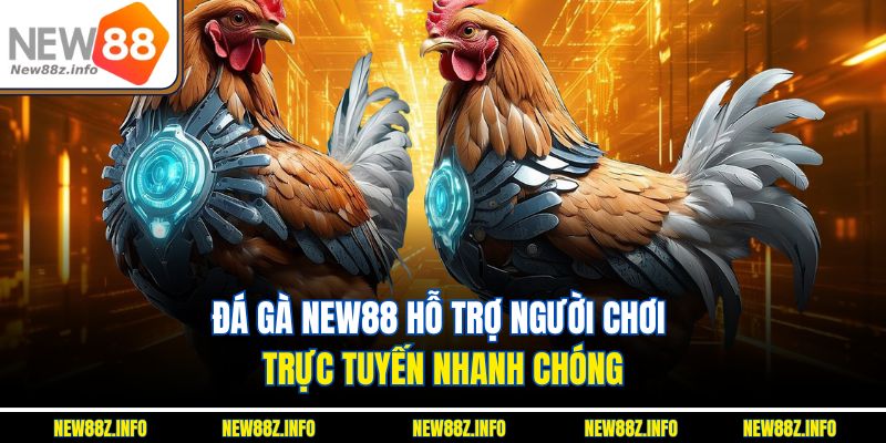 Đá gà New88 – Hỗ trợ người chơi trực tuyến nhanh chóng