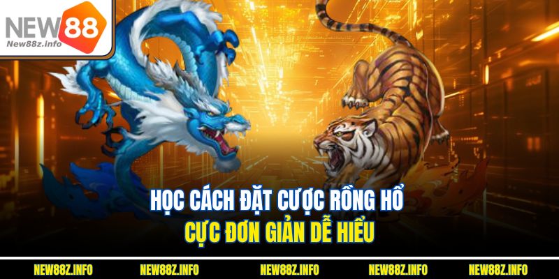 Học cách đặt cược Rồng hổ cực đơn giản, dễ hiểu