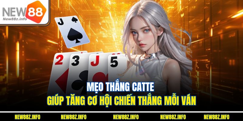 Mẹo thắng Catte giúp tăng cơ hội chiến thắng mỗi ván